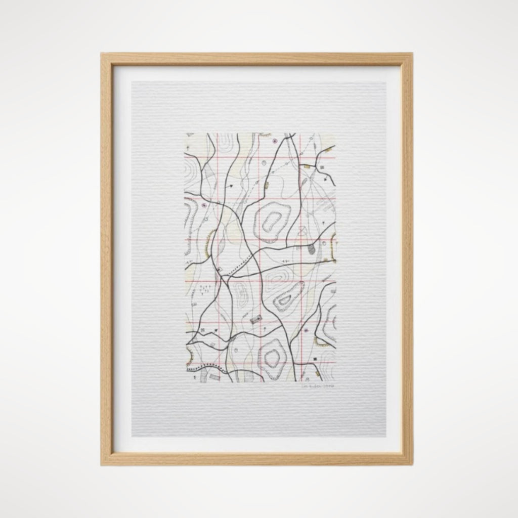 Cartographic Variation V