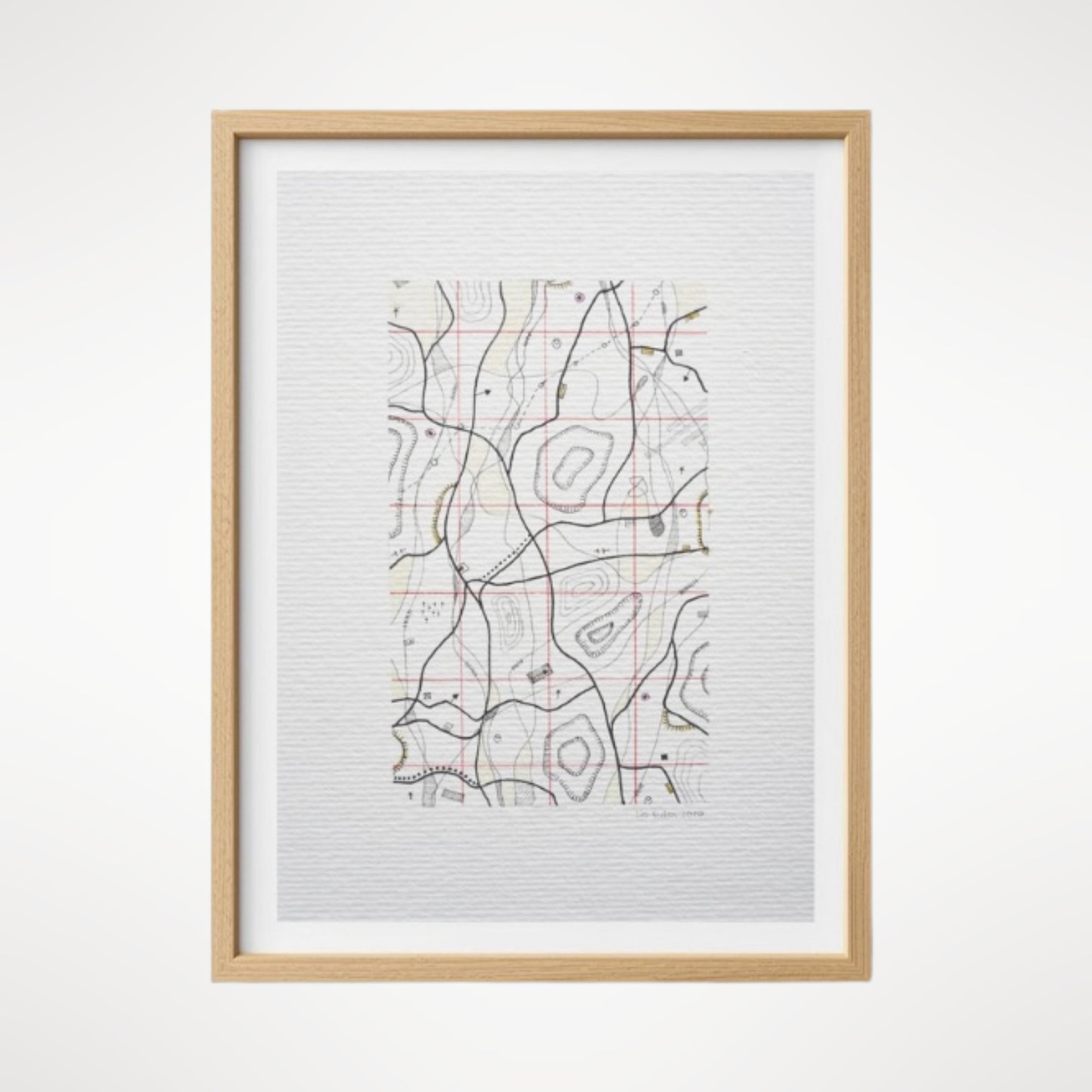 Cartographic Variation V