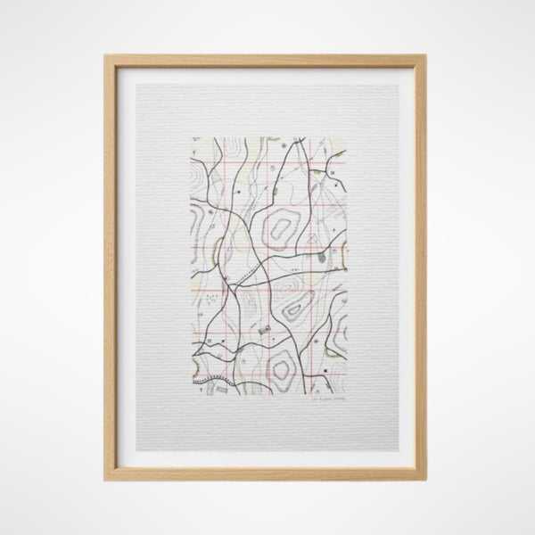 Cartographic Variation V