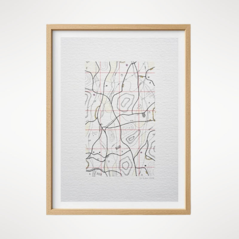 Cartographic Variation V