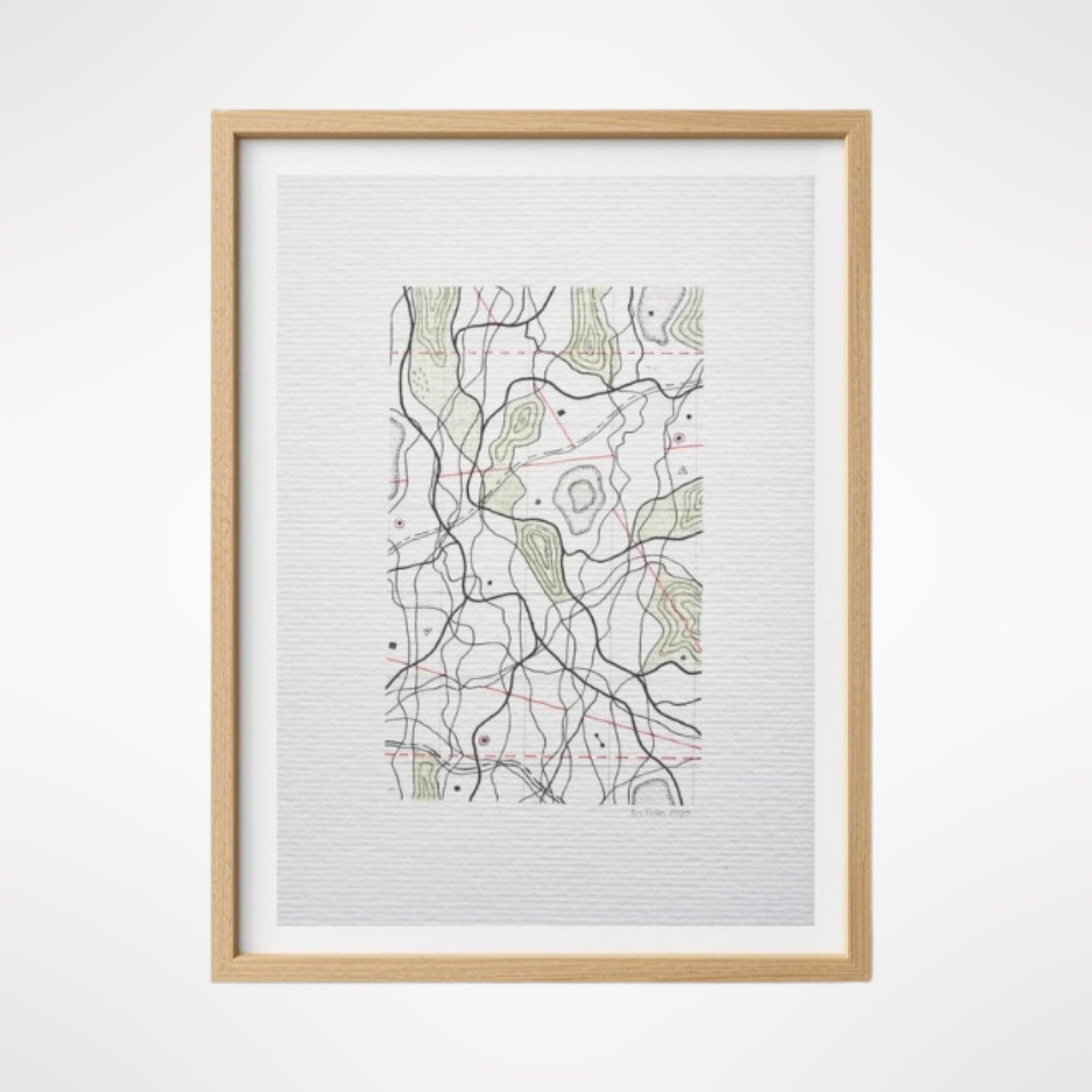 Cartographic Variation IV