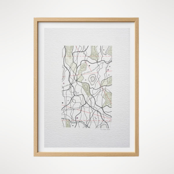 Cartographic Variation IV