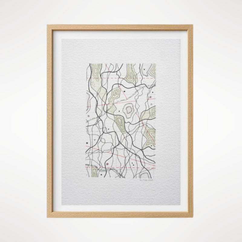 Cartographic Variation IV