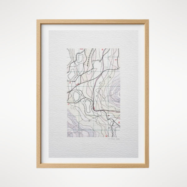 Cartographic Variation III