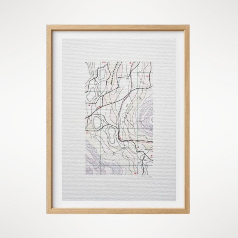 Cartographic Variation III