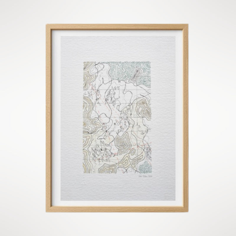 Cartographic Variation II