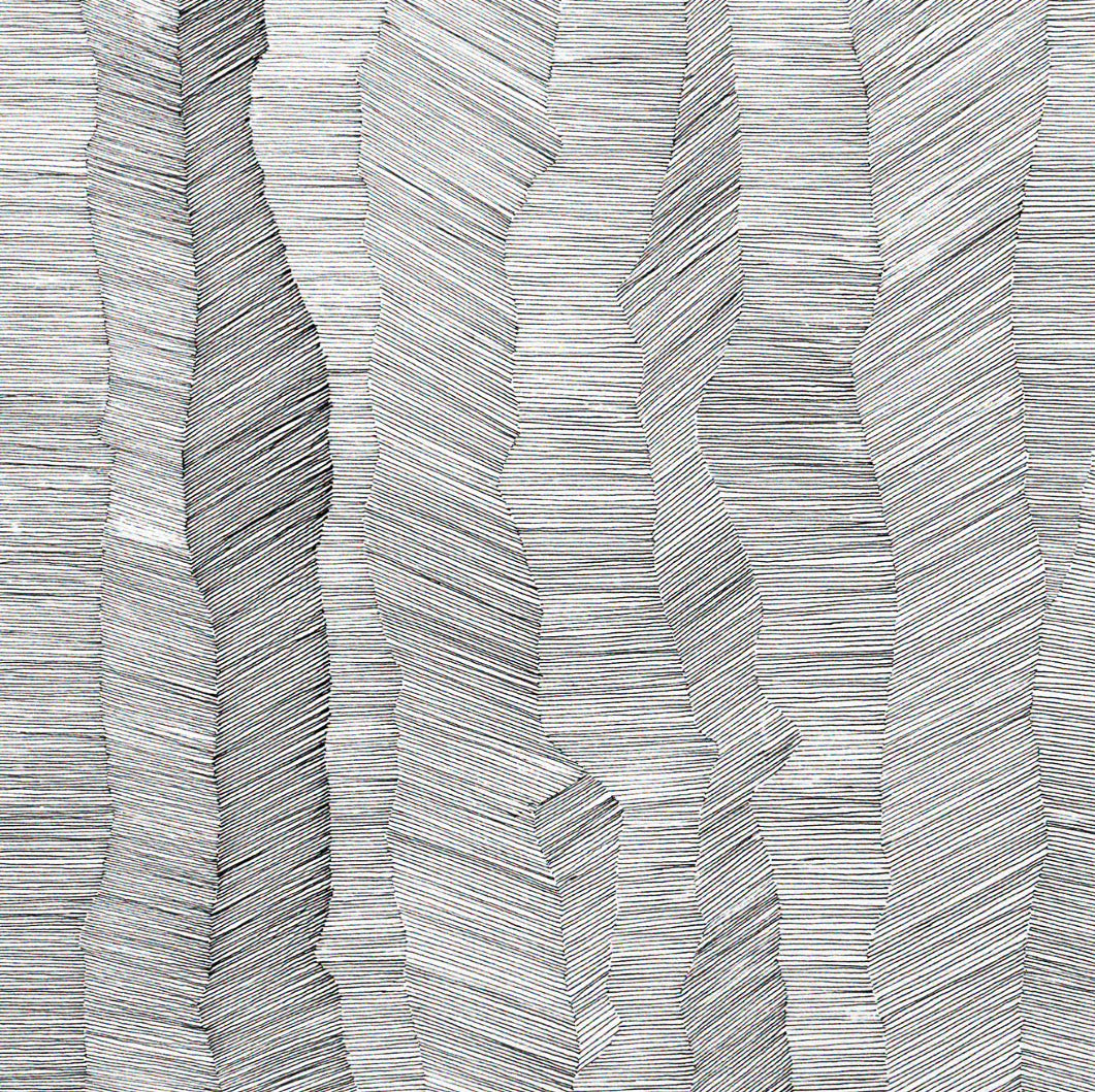 Contour Fragment