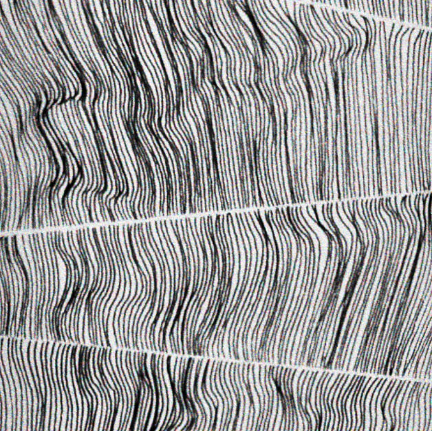 Fault Lines