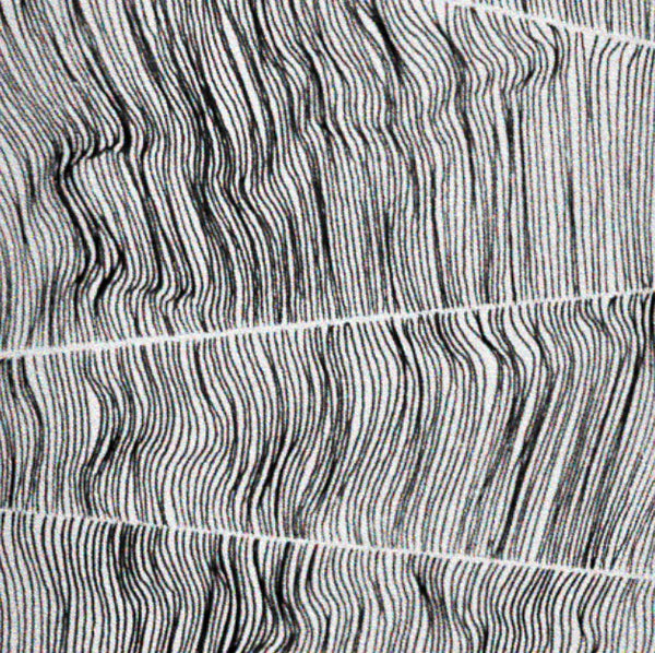 Fault Lines