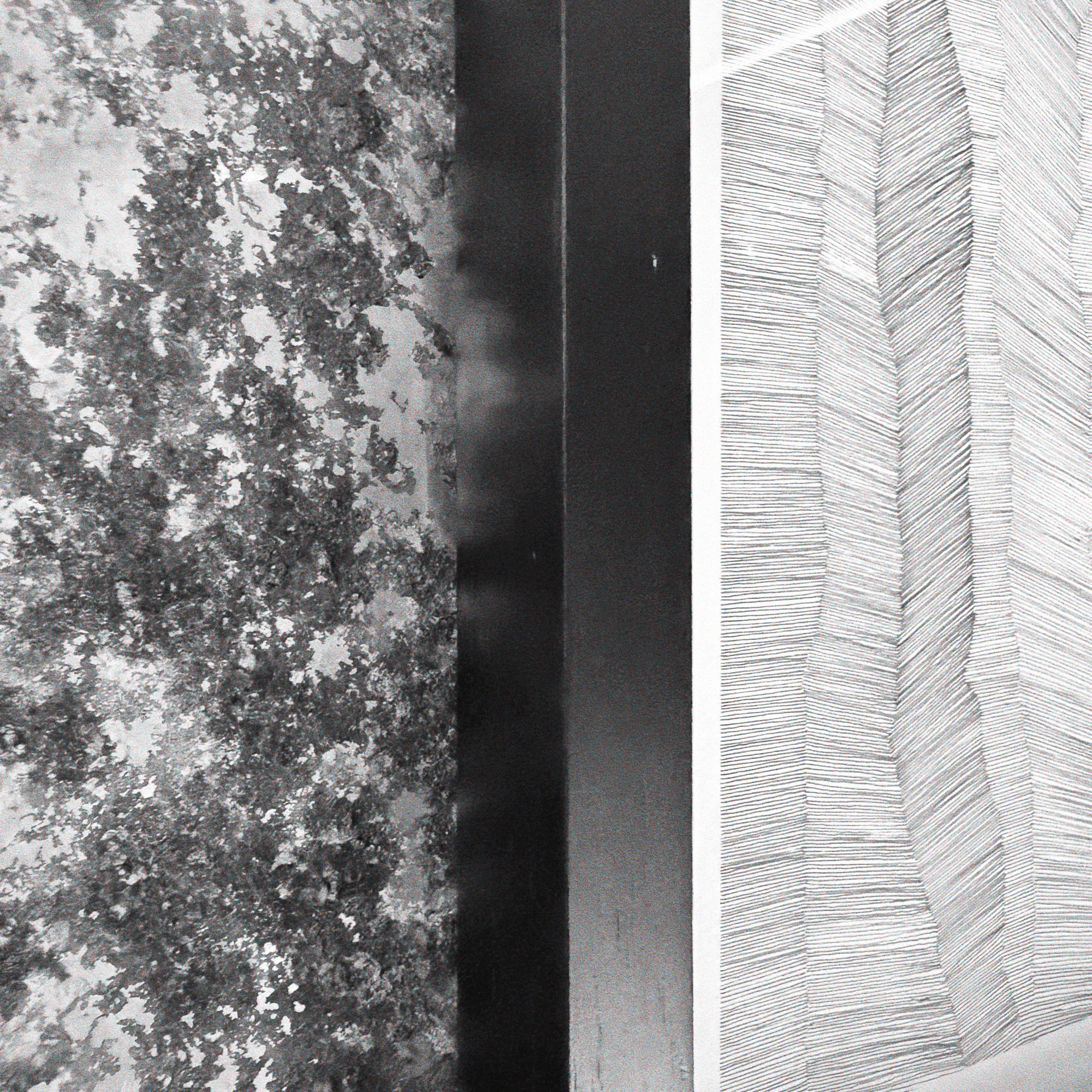 Contour Fragment
