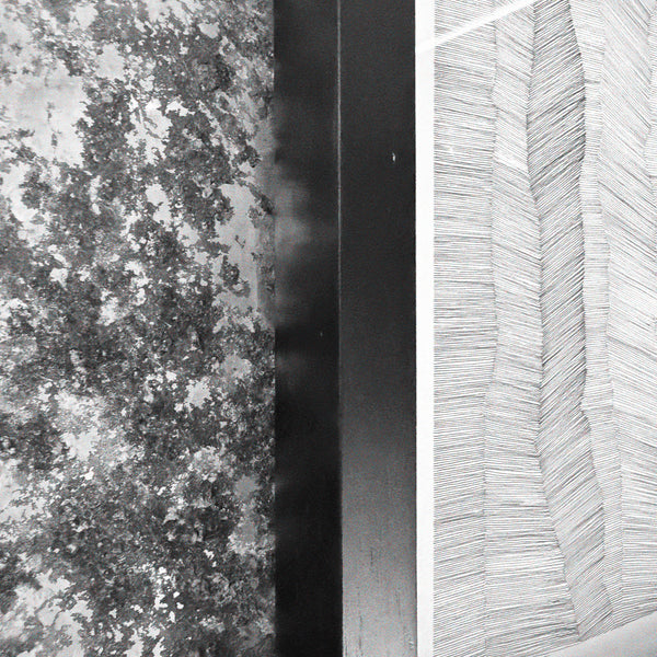 Contour Fragment